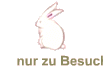 nur zu Besuch