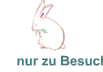 nur zu Besuch