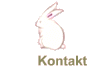 Kontakt