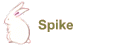 Spike
